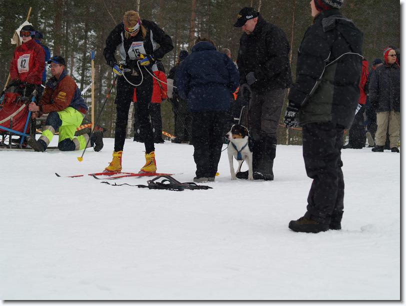 Nästa bild